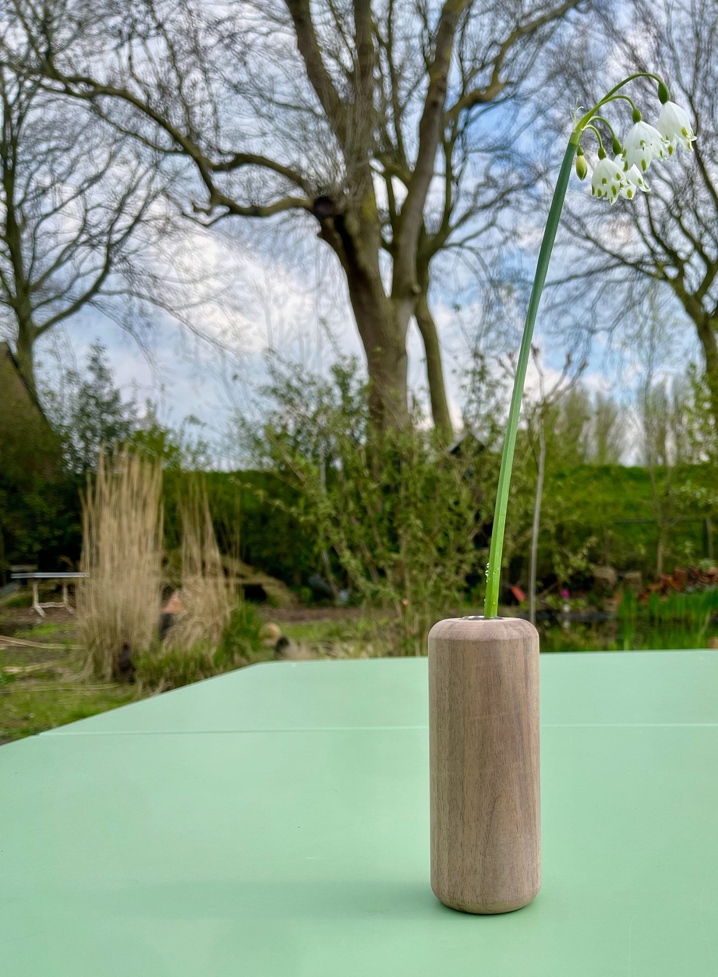 Walnut vase